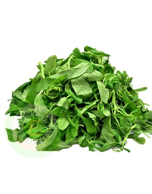 Fresh waterleaves