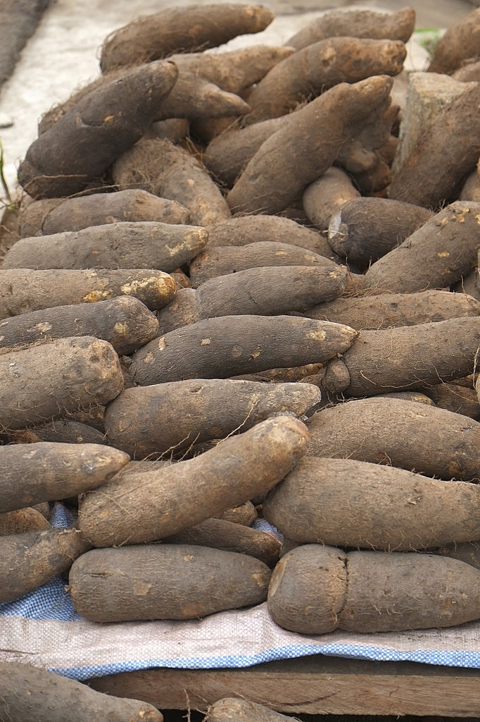 Display of yam