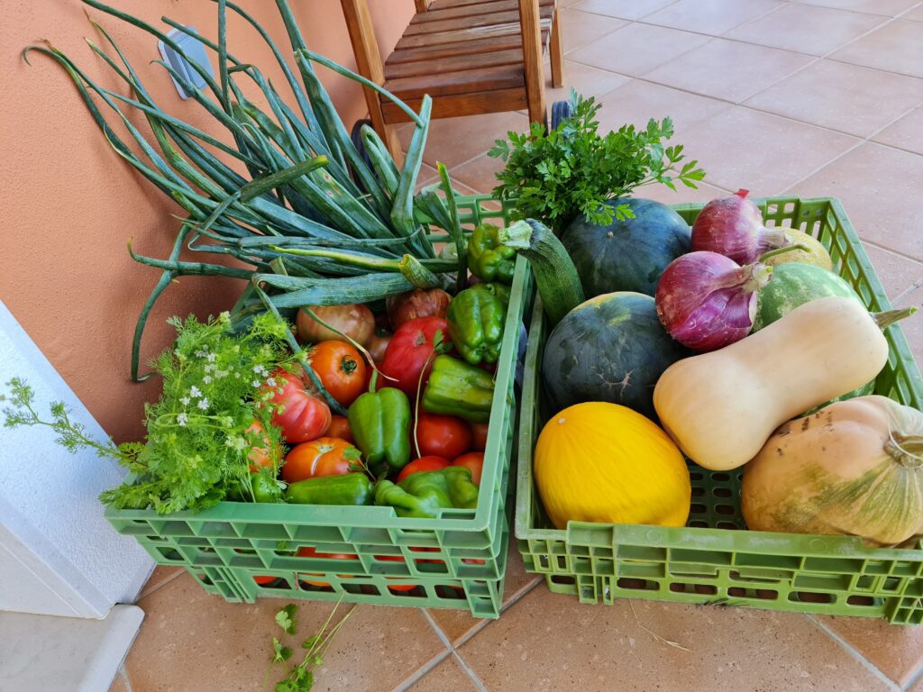 Boxes of organic farm produce